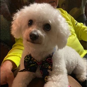 Meet your Posher, Ann